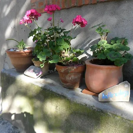 Ceps Sleeps 6 With Free Wifi Near The River *