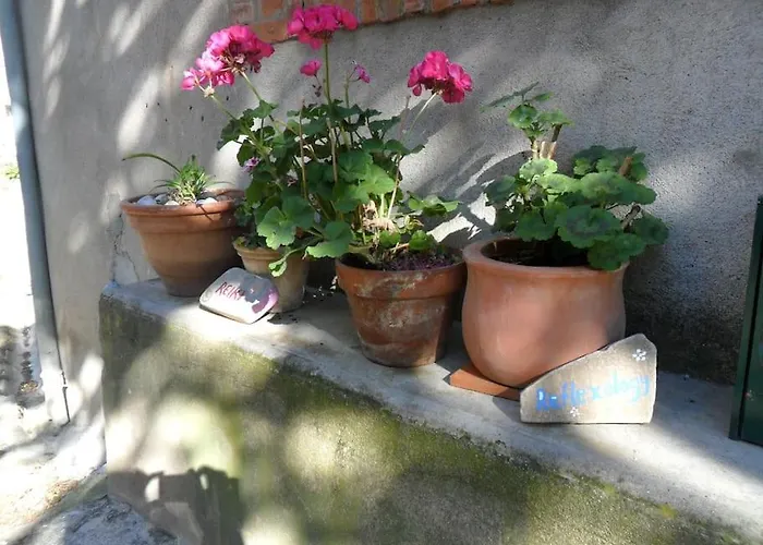 Ceps Sleeps 6 With Free Wifi Near The River *